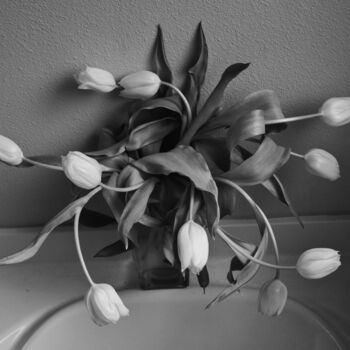 Fotografía titulada "Tulips" por Richard Eugene Puckett, Obra de arte original, Fotografía analógica