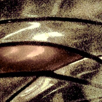제목이 "Through a Glass Dar…"인 사진 Ken Lerner로, 원작, 디지털