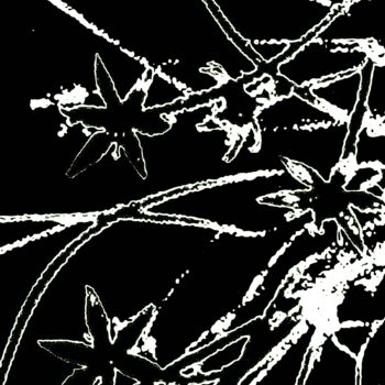 摄影 标题为“Wildflowers 100g25” 由Ken Lerner, 原创艺术品, 数码摄影