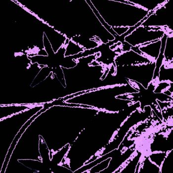 「Wildflowers 100g9」というタイトルの写真撮影 Ken Lernerによって, オリジナルのアートワーク, デジタル