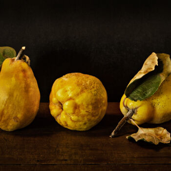 Photography titled "Quince / membrillo…" by Tariq Dajani, Original Artwork, Digital Photography