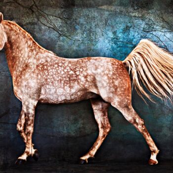 Photography titled "Pegasus" by Tariq Dajani, Original Artwork, Digital Photography