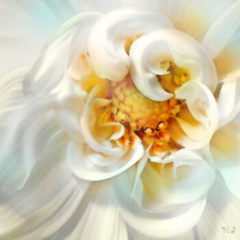 「Delicate white flow…」というタイトルのデジタルアーツ Armajayによって, オリジナルのアートワーク, デジタル絵画