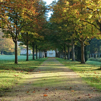 Photographie intitulée "Parc Anne et Gérard…" par Pascal Carro (ORAK), Œuvre d'art originale, Photographie non manipulée