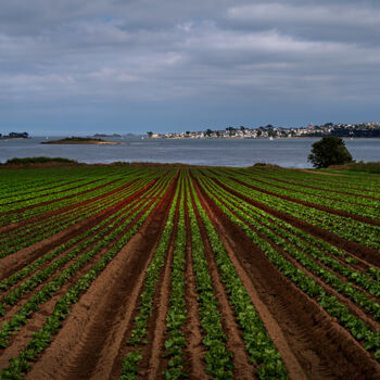 Photographie intitulée "Carantec depuis Tré…" par Thierry Martin, Œuvre d'art originale, Photographie numérique