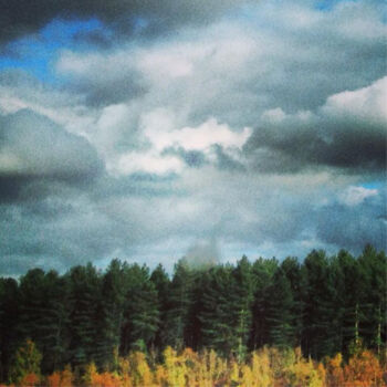 Φωτογραφία με τίτλο "Autumn forest" από Pascal Carro (ORAK), Αυθεντικά έργα τέχνης, Μη χειραγωγημένη φωτογραφία