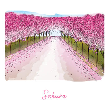 Drawing titled "KARI KRO - Sakura" by Pascal Carro (ORAK), Original Artwork, Marker
