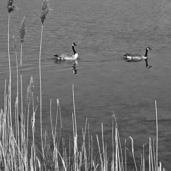 Photographie intitulée "Bernay - Au détour…" par Pascal Carro (ORAK), Œuvre d'art originale, Photographie non manipulée
