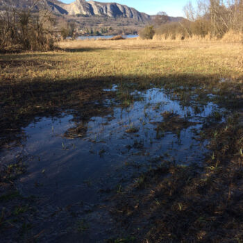 Photographie intitulée "L'eau de la prairie" par Camille R., Œuvre d'art originale, Photographie non manipulée