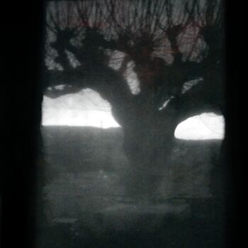 Photography titled "Tronc d'arbre......" by Philippe Berthier, Original Artwork, Digital Photography