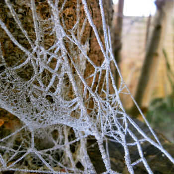 Photography titled "Toile de givre.." by Janeon Photos, Original Artwork, Digital Photography