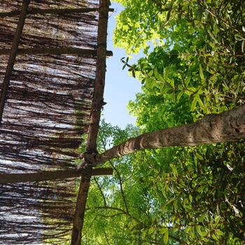「Part of nature」というタイトルの写真撮影 Pascal Carro (ORAK)によって, オリジナルのアートワーク, デジタル
