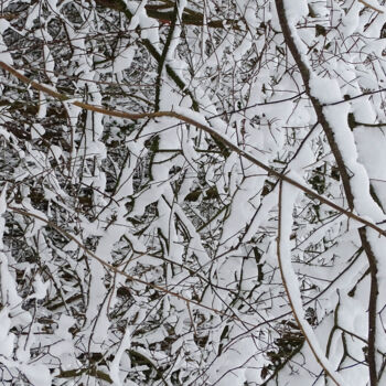 Fotografie mit dem Titel "Snow covered nature…" von Pascal Carro (ORAK), Original-Kunstwerk, Digitale Fotografie