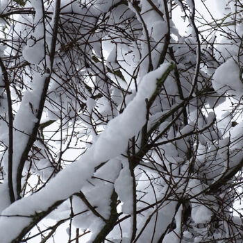 摄影 标题为“Snow covered nature…” 由Pascal Carro (ORAK), 原创艺术品, 非操纵摄影