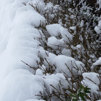 Fotografie mit dem Titel "Snow covered nature…" von Pascal Carro (ORAK), Original-Kunstwerk, Nicht bearbeitete Fotografie