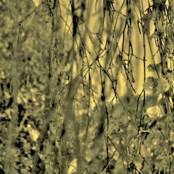 Photographie intitulée "Forêt, Forêt Verte…" par Nana Plamadeala-Kiritchenko, Œuvre d'art originale, Photographie manipulée