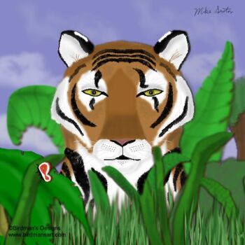 제목이 "Tiger Peek a boo"인 미술작품 Mike Sexton로, 원작, 기름