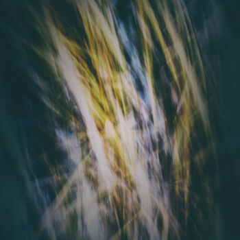 Fotografía titulada "Frozen (studio 7)" por Karim Carella, Obra de arte original, Fotografía digital