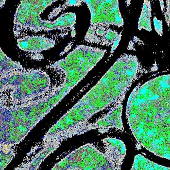 Fotografia intitolato "Wrought Iron 1d2" da Ken Lerner, Opera d'arte originale, Fotografia digitale