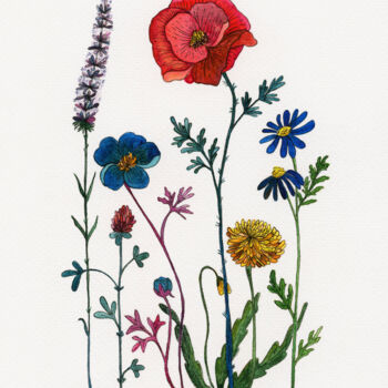 제목이 "THE RED POPPY BEAUT…"인 미술작품 Rena Matha로, 원작, 수채화