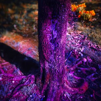 「Ultraviolet trunk a…」というタイトルの写真撮影 Blamemrkenによって, オリジナルのアートワーク, 操作する