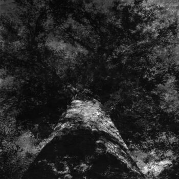 「L'envol de l'Arbre.…」というタイトルの写真撮影 Philippe Berthierによって, オリジナルのアートワーク, デジタル
