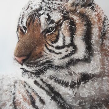 Drawing titled "Tiger in the snow" by Tatyana Lukanenko, Original Artwork, Pastel