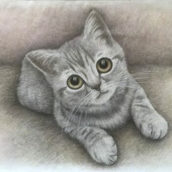 Rysunek zatytułowany „Cute cat” autorstwa Michael Reshetniak, Oryginalna praca, Conté