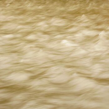 「Après la pluie.....」というタイトルの写真撮影 Philippe Berthierによって, オリジナルのアートワーク, デジタル