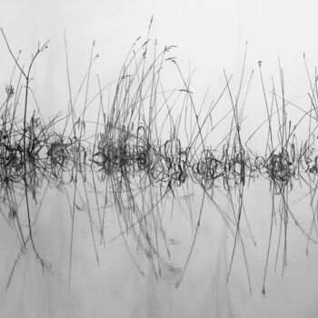 Φωτογραφία με τίτλο "Calligraphie" από Sébastien Mouraud, Αυθεντικά έργα τέχνης, Ψηφιακή φωτογραφία