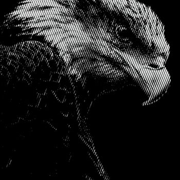 印花与版画 标题为“⚜️ Eagle ⚜️” 由Алексей Жданов, 原创艺术品, 压纹