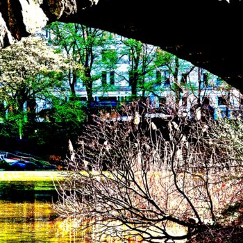 摄影 标题为“Central Park Throug…” 由Ken Lerner, 原创艺术品, 数码摄影