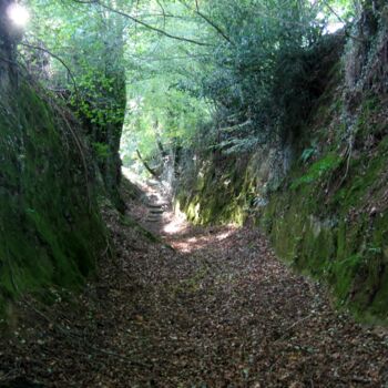 Fotografía titulada "Chemin creux Breton…" por Stéphane Billiau, Obra de arte original, Fotografía digital