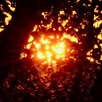 "The Sunset I" başlıklı Fotoğraf Sylvestre Bonnet tarafından, Orijinal sanat, Fotoşopsuz fotoğraf
