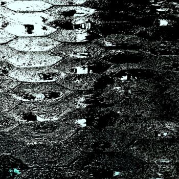 摄影 标题为“Madison Park Februa…” 由Ken Lerner, 原创艺术品, 数码摄影