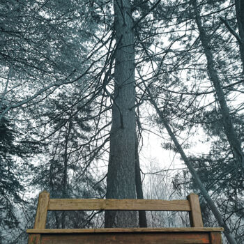 Φωτογραφία με τίτλο "Sit and watch mothe…" από Pascal Carro (ORAK), Αυθεντικά έργα τέχνης, Χειρισμένη φωτογραφία