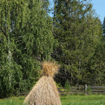 Arts numériques intitulée "Sheaf at the outski…" par Pavel Sheluntsov, Œuvre d'art originale, Peinture numérique