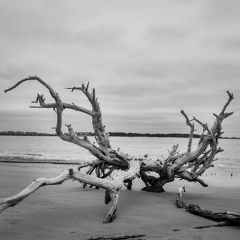 Fotografie getiteld "Driftwood on Boneya…" door Melissa Fague, Origineel Kunstwerk, Digitale fotografie
