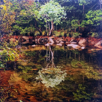 绘画 标题为“Perfect water lands…” 由José Antonio Castro-Muñiz, 原创艺术品, 丙烯 安装在木质担架架上