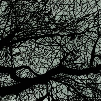 Drawing titled "Structures et ramur…" by Camille Escudero, Original Artwork, Ink