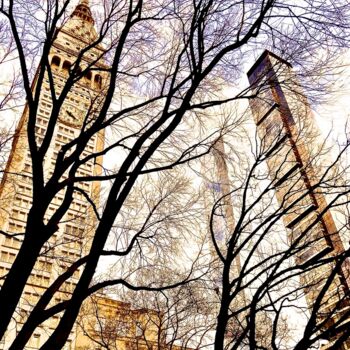 Fotografie getiteld "Madison Park Februa…" door Ken Lerner, Origineel Kunstwerk, Digitale fotografie