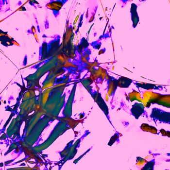 Photographie intitulée "Palette" par Roche Marie T., Œuvre d'art originale, Photographie numérique Monté sur Carton