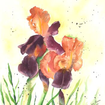 Peinture intitulée "Délicats iris" par Françoise Renou, Œuvre d'art originale, Aquarelle