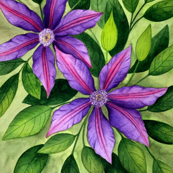 Schilderij getiteld "Clematis" door Alfiya Scheck, Origineel Kunstwerk, Aquarel
