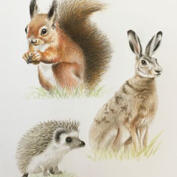 Peinture intitulée "Trio faune" par Isabelle Molinard, Œuvre d'art originale, Aquarelle