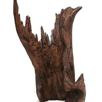 雕塑 标题为“Stump. Driftwood sc…” 由Lara Shabelnik, 原创艺术品, 木