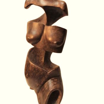 Scultura intitolato "Torso nr 4" da Wim Van Mossevelde, Opera d'arte originale, Legno