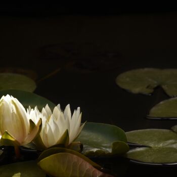 Photographie intitulée "Un peu de Monet" par Virginie Dartois, Œuvre d'art originale, Photographie numérique