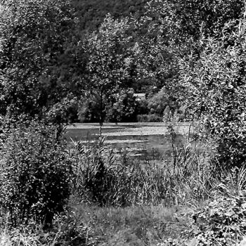 Fotografia intitolato "Through the leaves" da Davide Novello, Opera d'arte originale, fotografia a pellicola