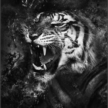 Digital Arts titled "Tiger" by Jürgen Haffa (creator), Original Artwork, Photo Montage Mounted on Aluminium